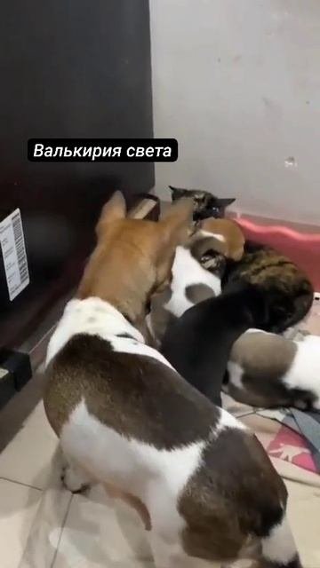 1760215433358.mp4
