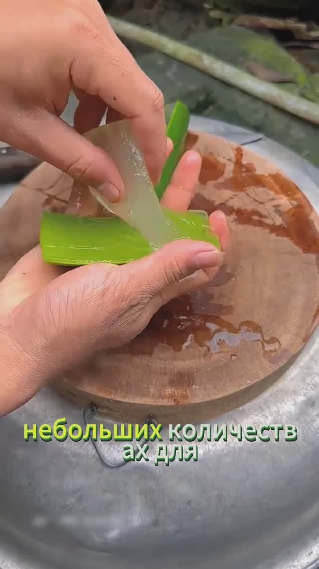 Немного про алоэ..