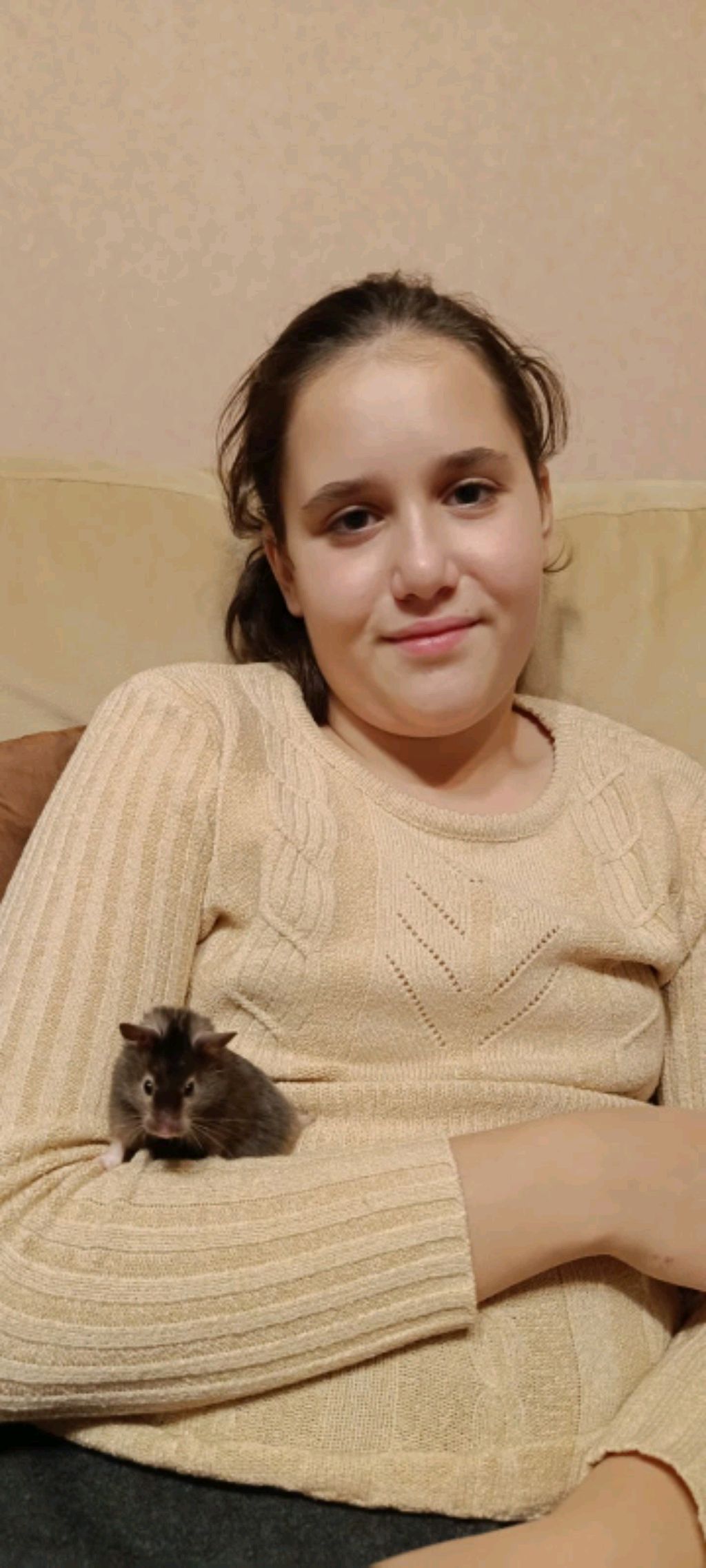 всем хай