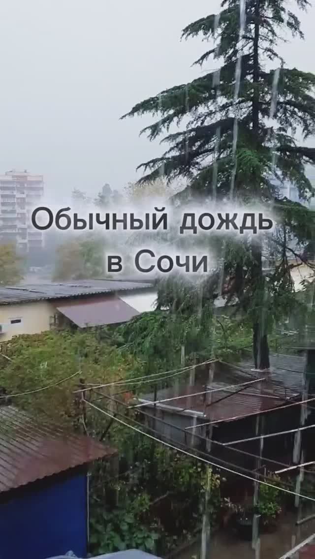 Обычный дождь в Сочи, октябрь