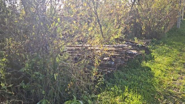 1000061290.mp4