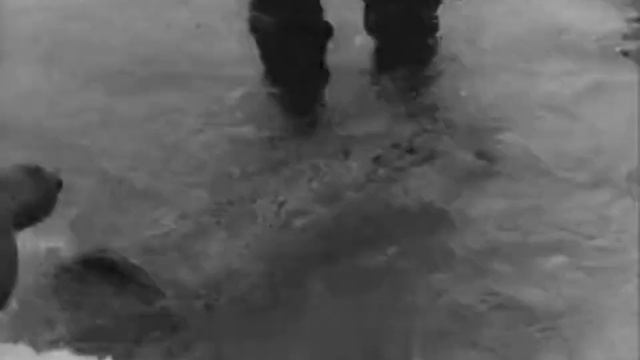В центре Арктики 1955 Часть третяя