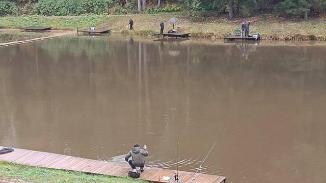 Forest Fishing 11.10.25