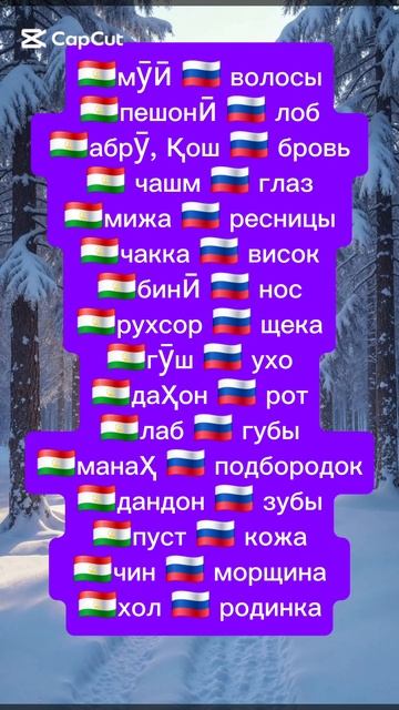 руский таджикиский силовар 🇷🇺 🇹🇯