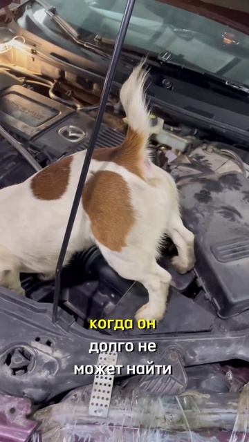 Лучший автомеханик.mp4