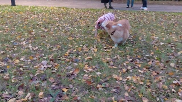 1000017947.mp4