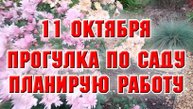 11 октября. Прогулка по саду. Планирую работу.