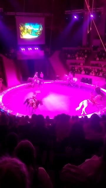 VID_20251011_180411.mp4