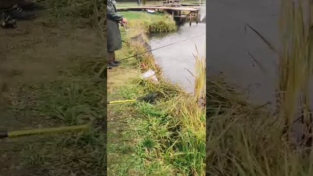 YouCut_20251011_211354634.mp4