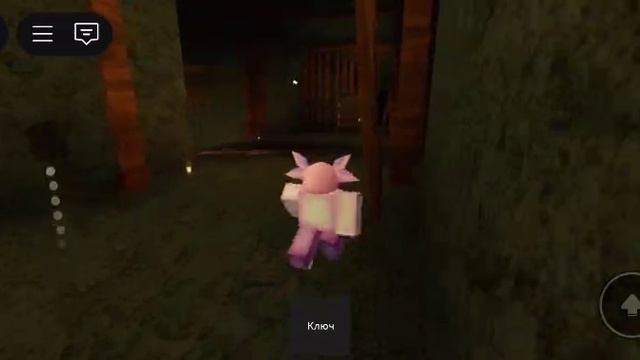 VID-20251011-WA0012.mp4