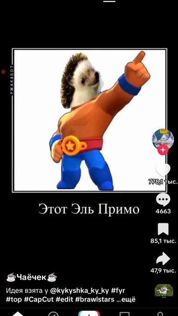 ёжики