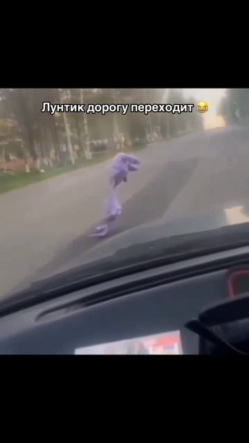 Лунтик дорогу переходит!  приколы смешные ролики юмор тренды шортс рекомендации топ