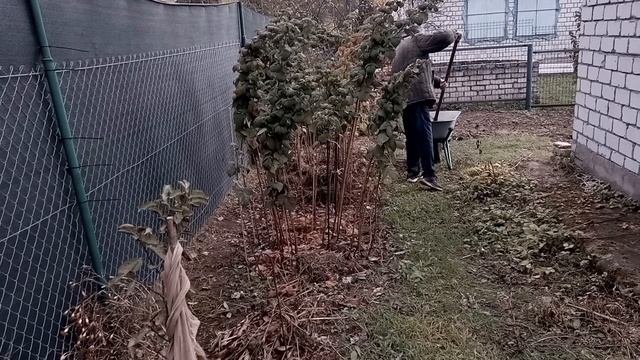 В саду осенние работы.