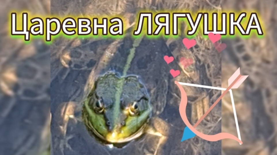 Царевна Лягушка. Лесное озеро.