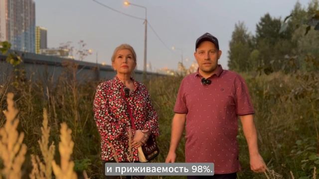 Под угрозой оказалась роща возле станции метро «Купчино»