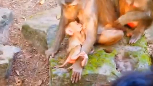 Женское воспитание: Либби и Лили  1000037566.mp4