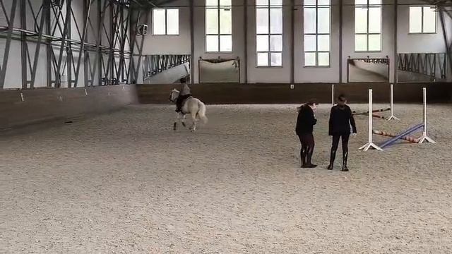 конкур🐎