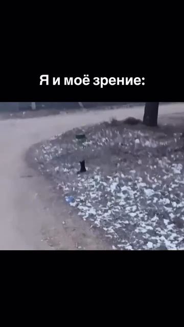 я и моё зрение