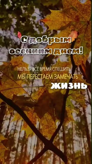 С добрым осенним днем... ☕️ Нельзя все время спешить