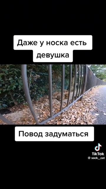 повод ззадуматься