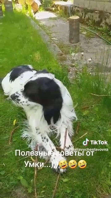 Голоден...)))