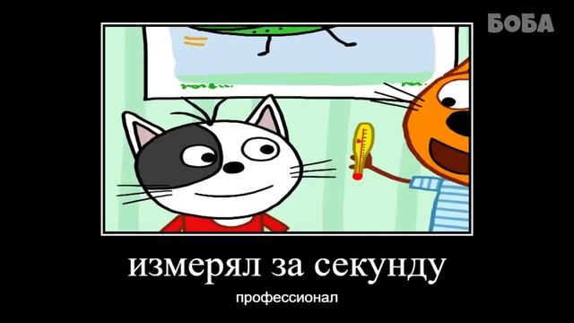 Кто просил три кота??: ТРИ КАТ