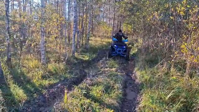 Катаемся по грязи на квадроцикле.