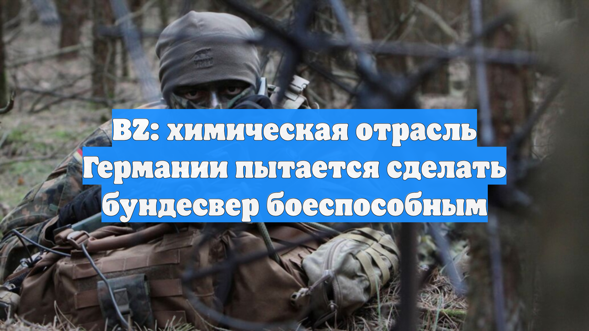 BZ: химическая отрасль Германии пытается сделать бундесвер боеспособным