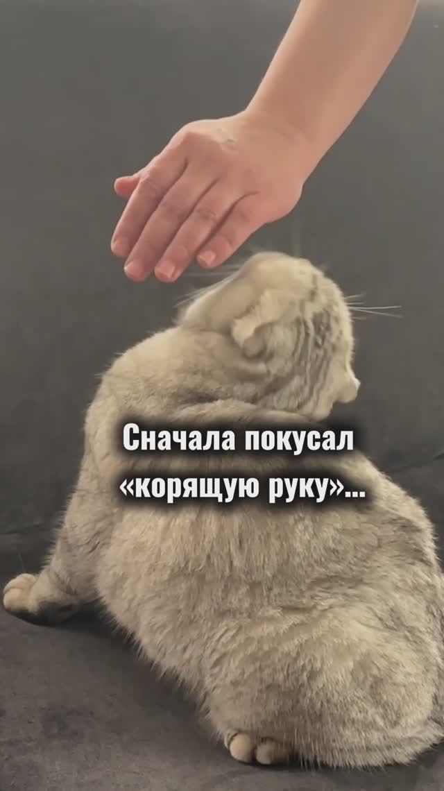 Вот так в жизни бывает😂