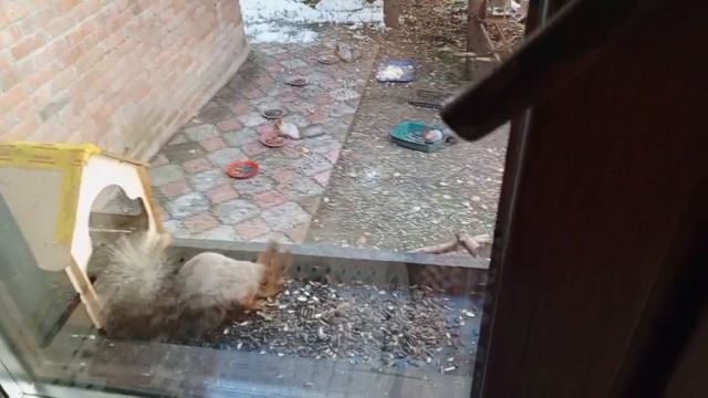 суббота в вольном зоопарке
