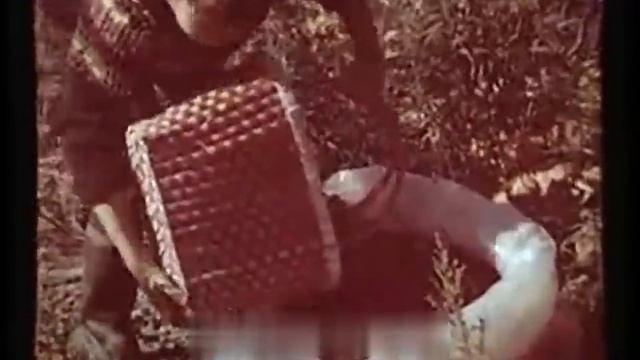 Уссурийская тайга 1978