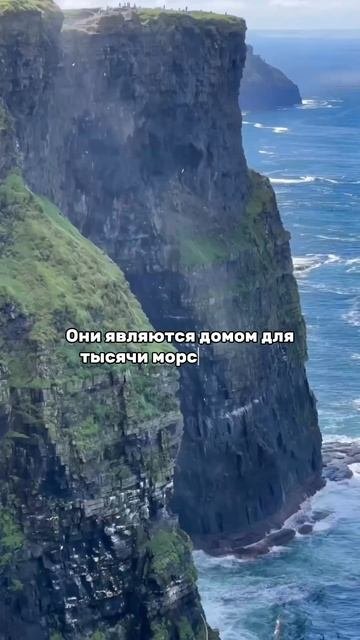 Утесы Мохер