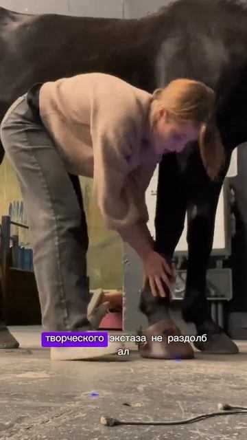«Царская невеста» и Колян