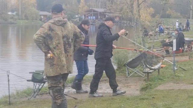 форель