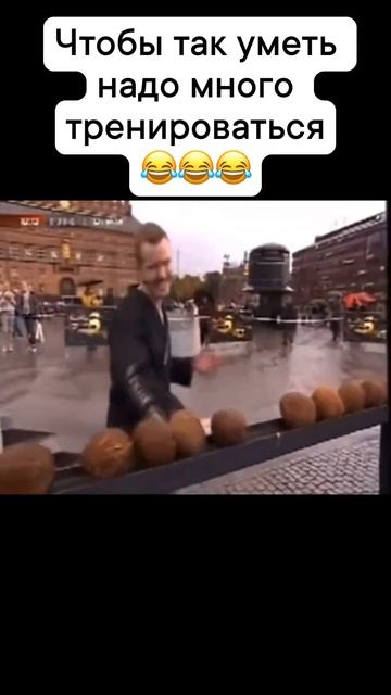 Ни один кокос не пострадал 