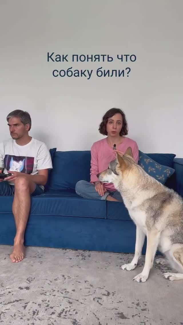 Проводите тест 😂