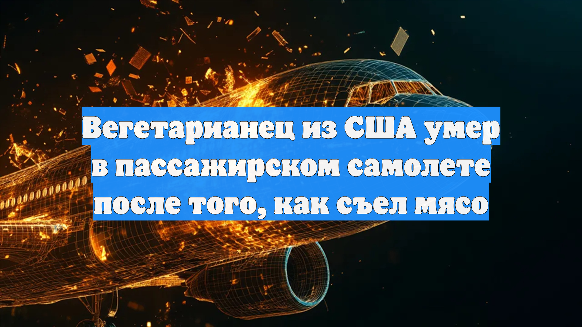 Вегетарианец из США умер в пассажирском самолете после того, как съел мясо