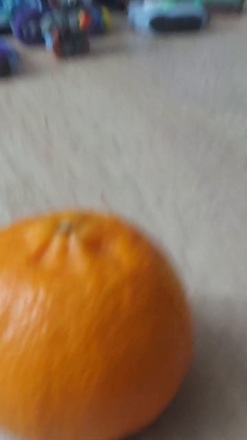 1000136941.mp4