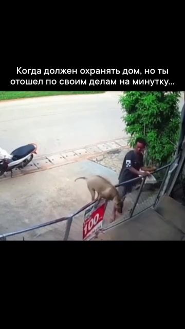 Главное вовремя вернуться 🤣