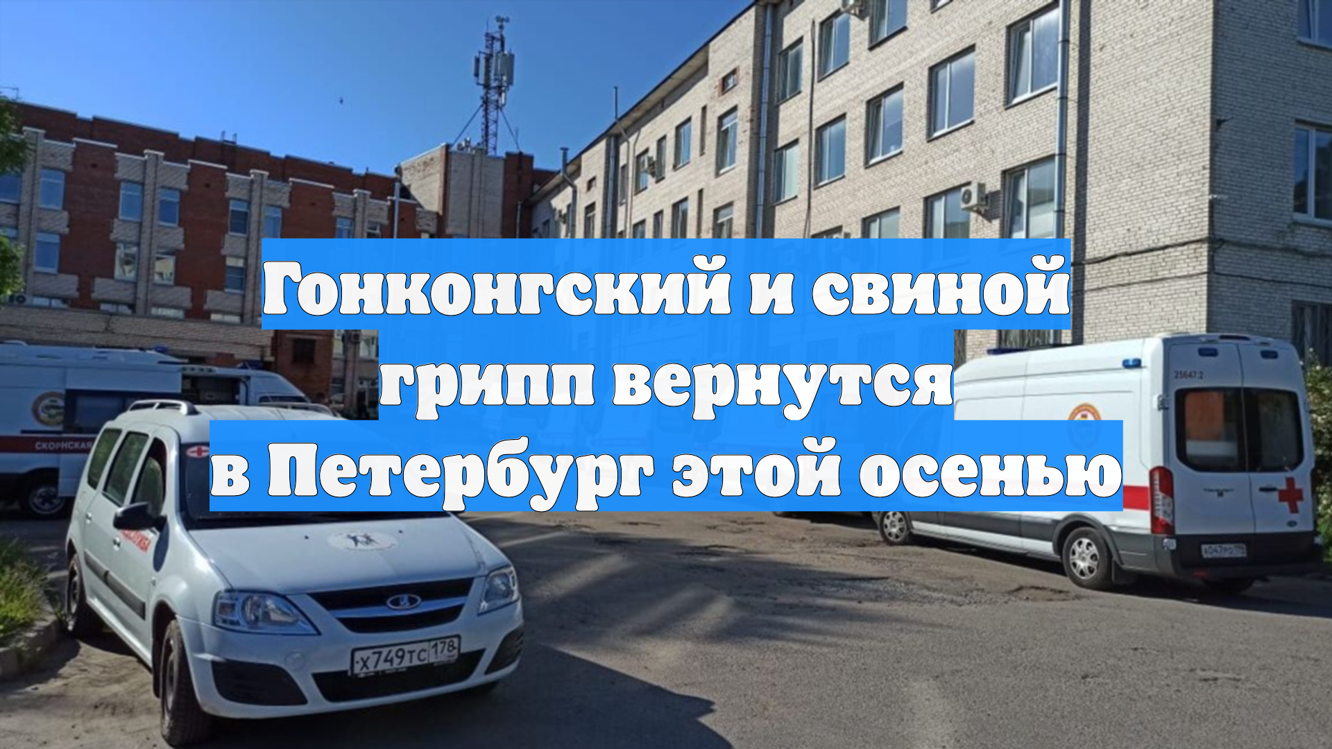 Гонконгский и свиной грипп вернутся в Петербург этой осенью