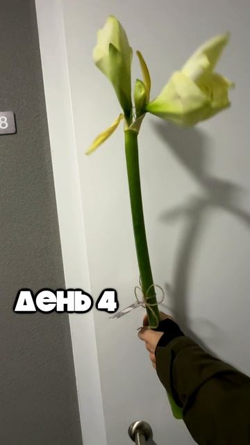 Любвная Любовь