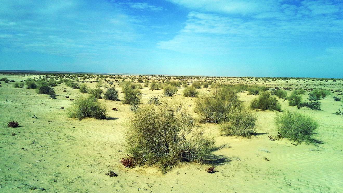 Kara-Kum