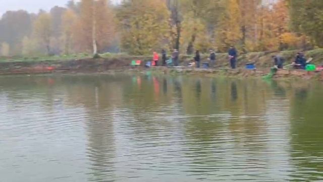 WhatsApp Video 2025-10-11 At 10.58.16