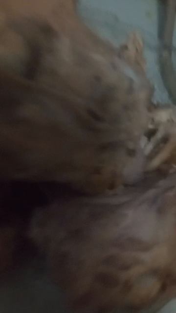 Lv_0_20251012000120