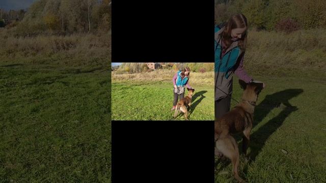 Снятие натяжения поводка