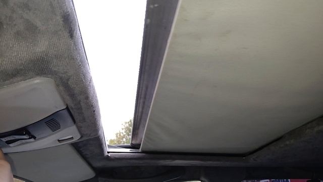 1000050538.mp4