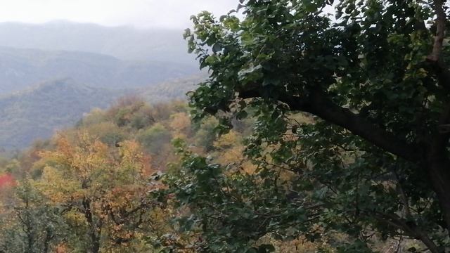 Красивая весна в горах Дагестана вэтотдень природныепейзажигоры