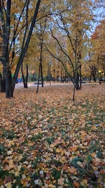 Золотая осень...