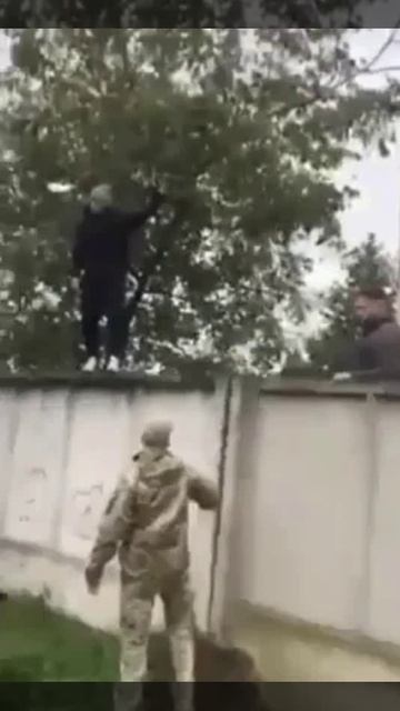Процесс превращения свободных громодян в мартышек