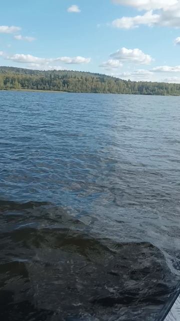 красота